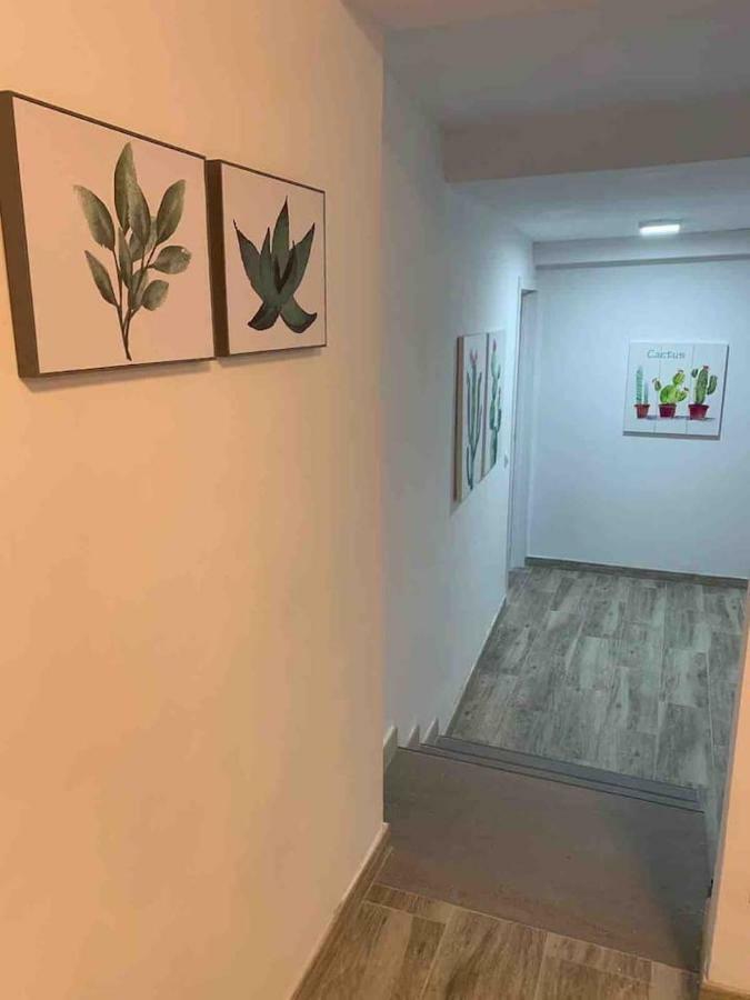 Casa Hana Apartment Mogan Ngoại thất bức ảnh